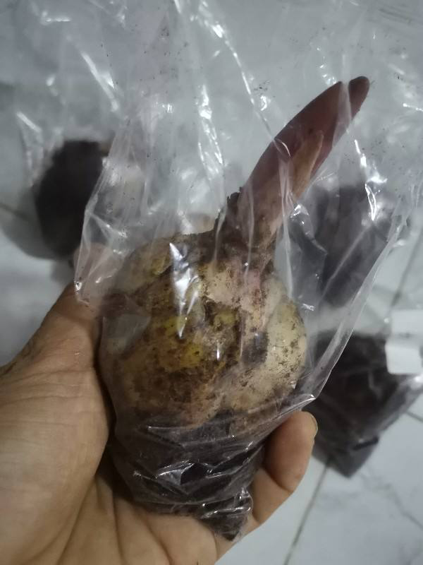 室內養殖什么好養又賺錢-專在家創業網