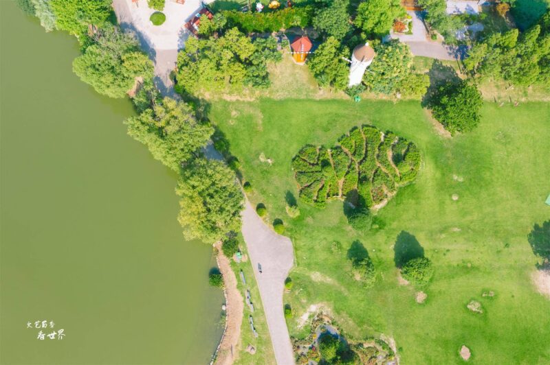 中國最大的島嶼是什么島(中國第五大島介紹)-1