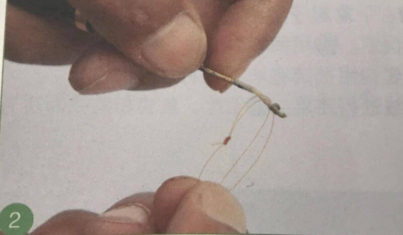 魚線怎么綁在魚竿?釣魚竿怎樣安裝釣魚線-1