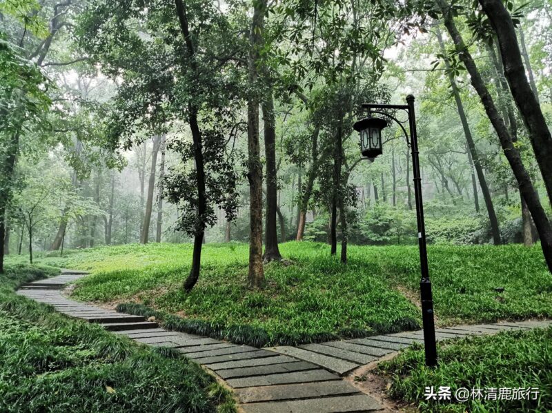 夏天最適合旅游的地方(10個夏天的最佳旅行地點排行榜)-1 夏天最適合旅游的地方(10個夏天的最佳旅行地點排行榜)-1