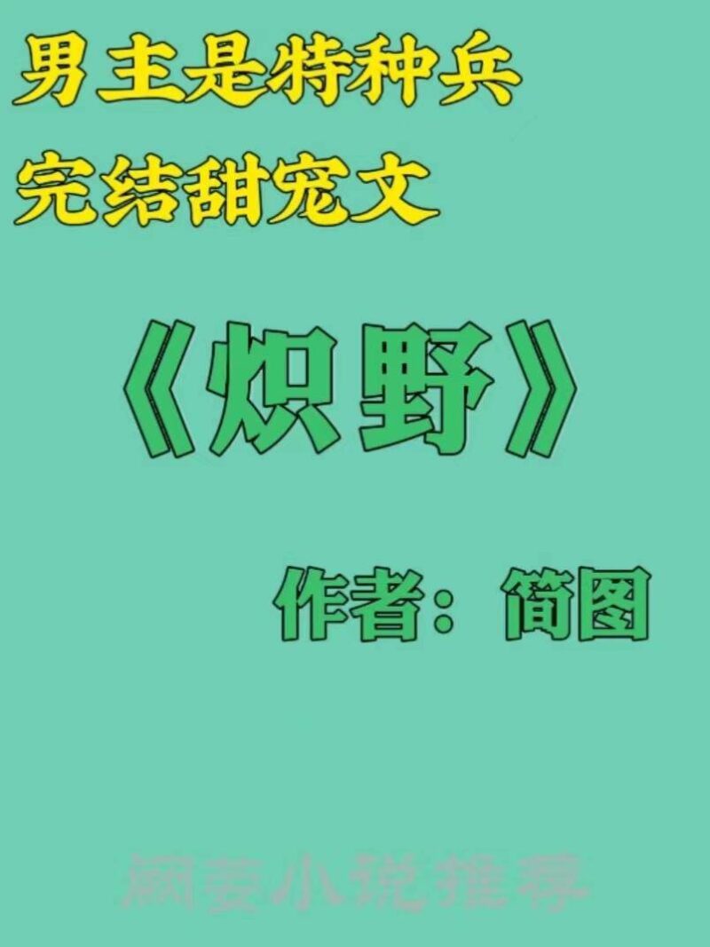 特種兵小說排行榜完本前十名(主角當(dāng)特種兵的小說)-1 特種兵小說排行榜完本前十名(主角當(dāng)特種兵的小說)-1