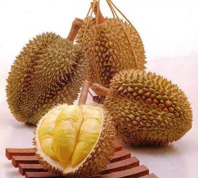 長柄榴蓮是什么品種(世界十大頂級榴蓮)-1