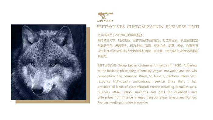 中國十大頂級西裝品牌（中國名牌西服排行榜）-1