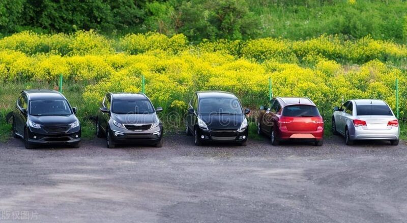 農村賺錢門路有哪些(十個農村賺錢好門路)-專在家創業網