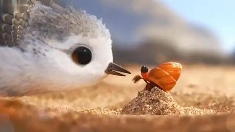 幼兒必看的十部教育動畫電影(幼兒必看的十部動畫片排行榜)-1