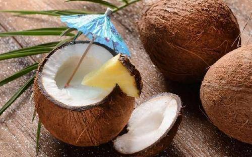 狗吃什么食物-1