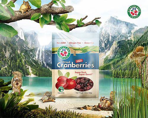 電商培訓學費一般多少?電商培訓班價格-專在家創業網