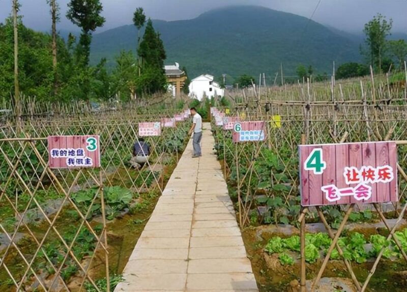 年輕人創業做什么好在農村-專在家創業網