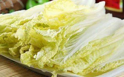 狗吃什么食物-1