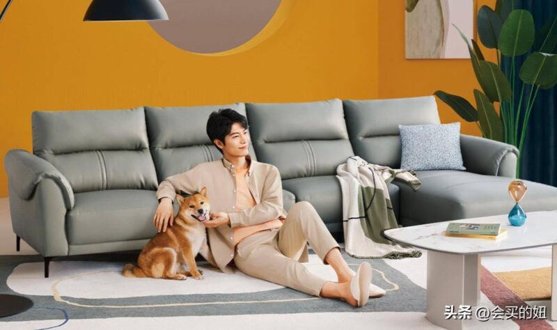 真皮沙發品牌排行榜-1 真皮沙發品牌排行榜-1