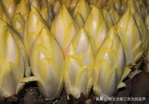 開什么店賺錢快?合適年后做5個小生意-1 開什么店賺錢快?合適年后做5個小生意-1