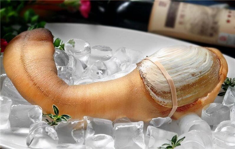 最貴的海鮮排行榜(世上最貴的海鮮)-1 最貴的海鮮排行榜(世上最貴的海鮮)-1