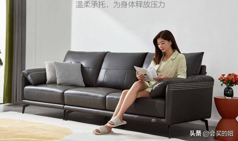 真皮沙發品牌排行榜-1 真皮沙發品牌排行榜-1