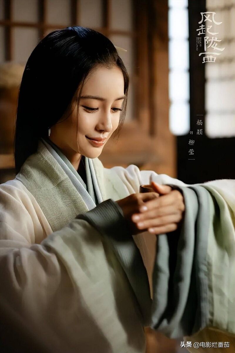 大陸電視劇排行榜(內(nèi)地高分電視劇排行榜)-1