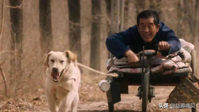 關于狗狗的電影排行榜前十名-1