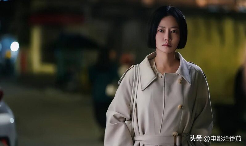 大陸電視劇排行榜(內(nèi)地高分電視劇排行榜)-1