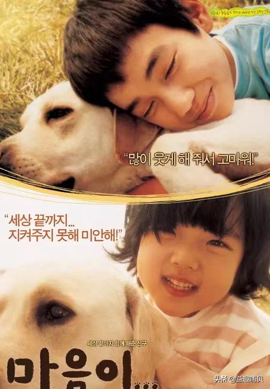 關于狗狗的電影排行榜前十名-1