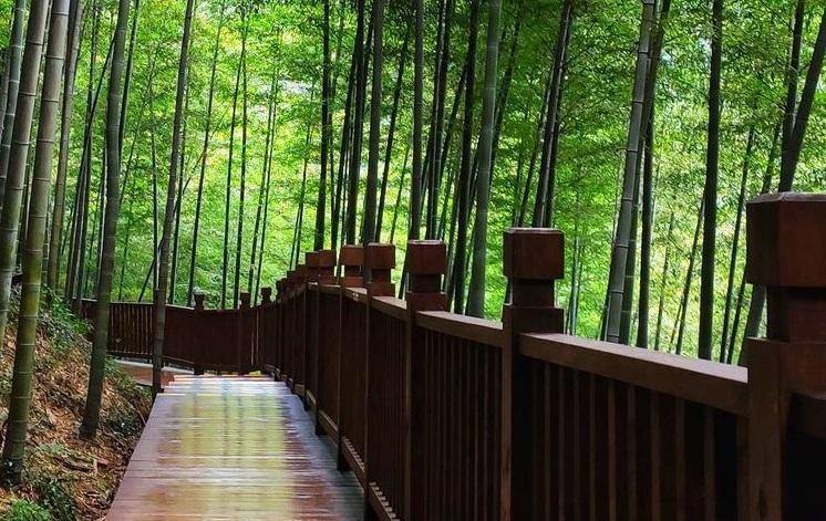 江蘇旅游景點大全景點排名-1 江蘇旅游景點大全景點排名-1