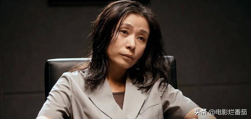 大陸電視劇排行榜(內(nèi)地高分電視劇排行榜)-1