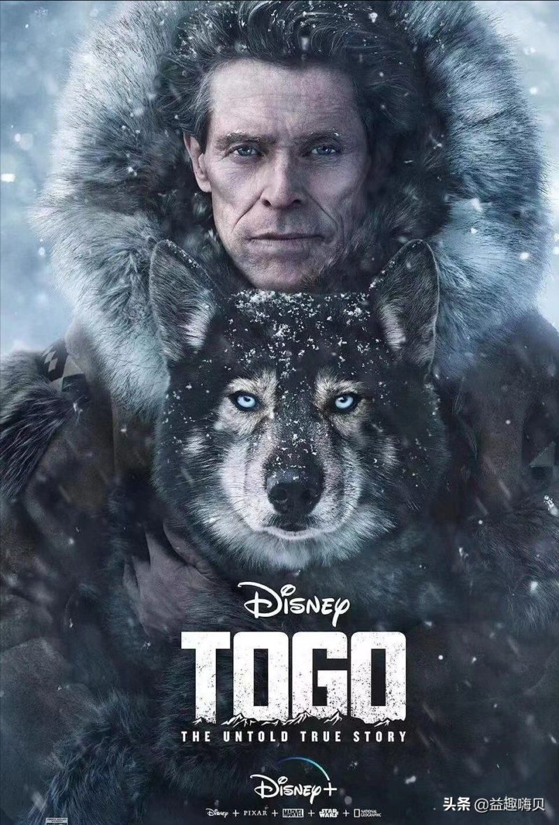 關于狗狗的電影排行榜前十名-1