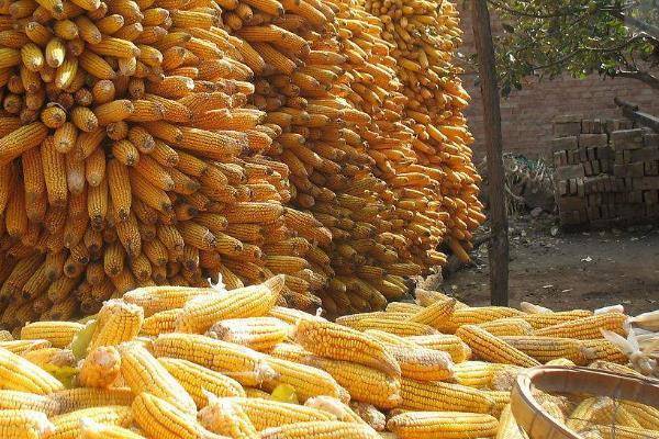 代加工什么項目好(不愁銷路的小型加工廠)-專在家創業網