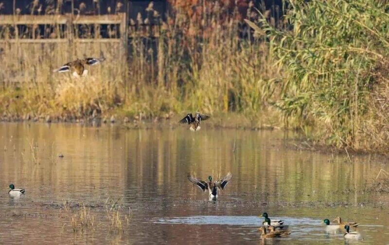 江蘇旅游景點大全景點排名-1 江蘇旅游景點大全景點排名-1