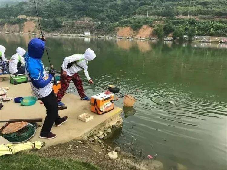 玉米能釣哪些魚類-專在家創業網