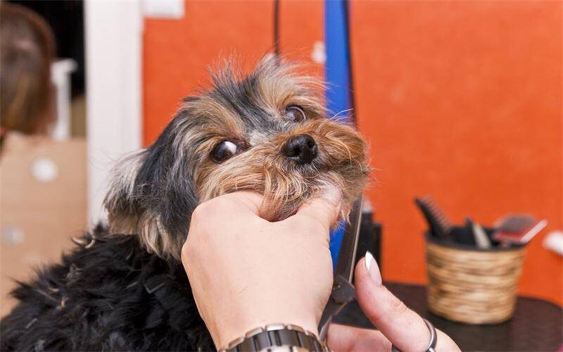 月入2萬的10個小生意-1 月入2萬的10個小生意-1