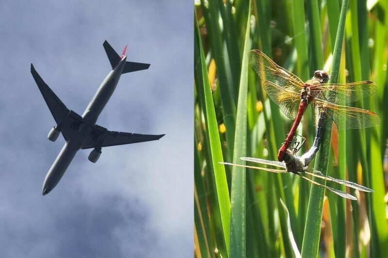 手機長焦鏡頭有什么用-1