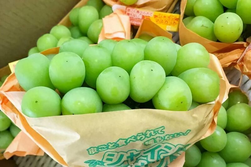 榴蓮什么季節(jié)大量上市?榴蓮最晚能吃到幾月份-專在家創(chuàng)業(yè)網(wǎng)