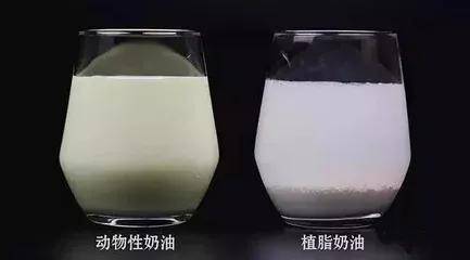 植物奶油是什么做的-專在家創(chuàng)業(yè)網(wǎng)