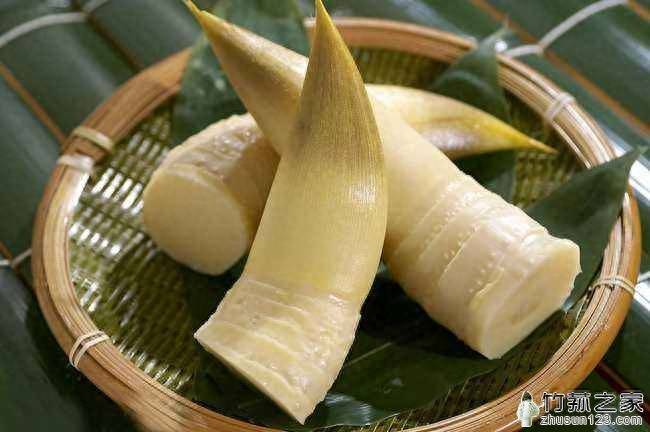 竹笙和竹蓀的區別-專在家創業網