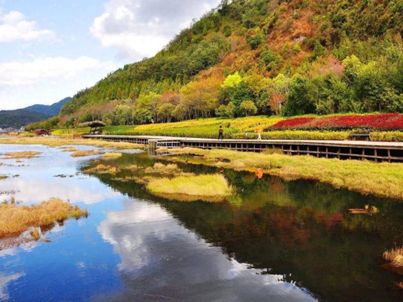 云南宜居養(yǎng)老城市排名-1