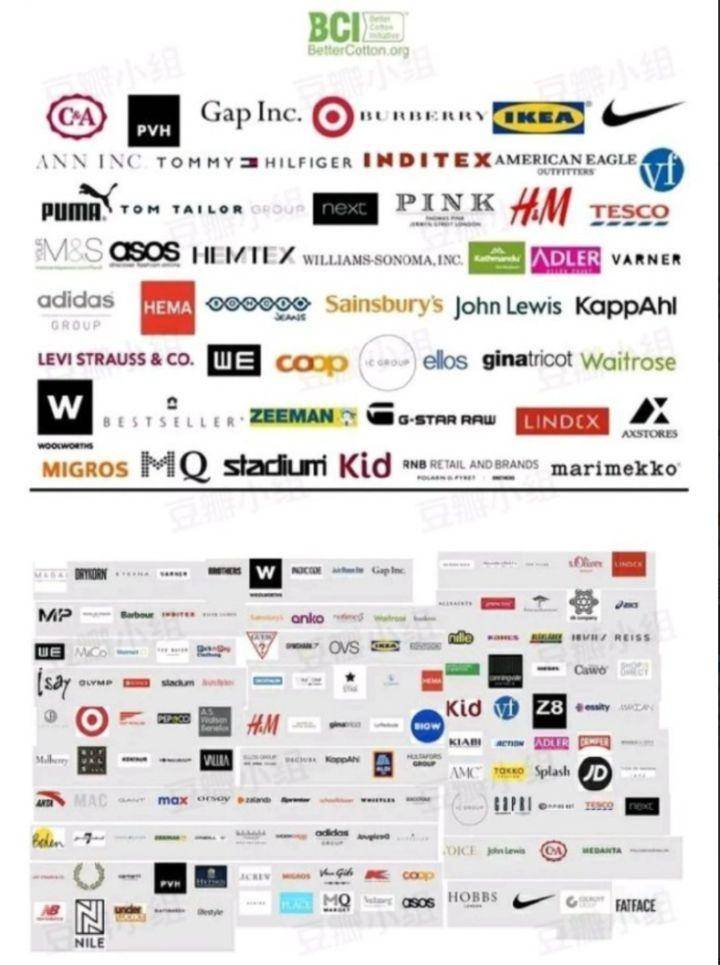 bci有哪些品牌-1