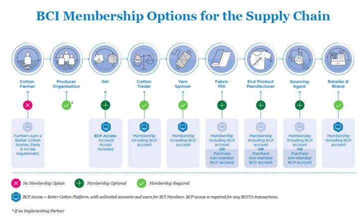 bci有哪些品牌-1