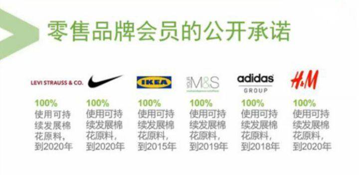 bci有哪些品牌-1