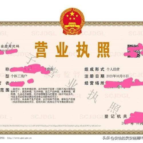 公司運營主體有哪些-專在家創業網