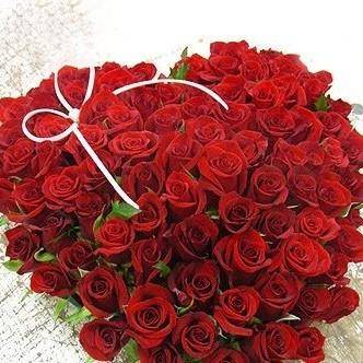 五十朵玫瑰花代表什么-1