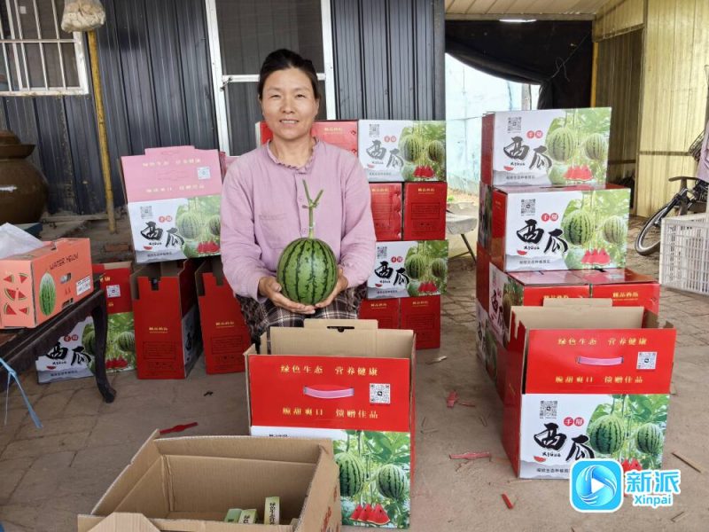 探尋經(jīng)濟(jì)活力“濰”面孔丨張竹麗:在鄉(xiāng)土中生長創(chuàng)業(yè)夢-專在家創(chuàng)業(yè)網(wǎng)