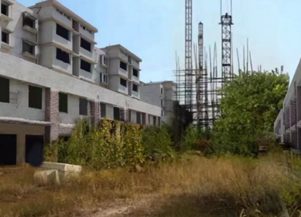 江蘇泗洪:全民創業綻繁花-專在家創業網