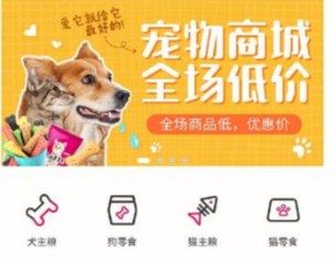 做寵物團購平臺能創業成功嗎？2025年最新團購平臺運營技巧+避坑指南-專在家創業網