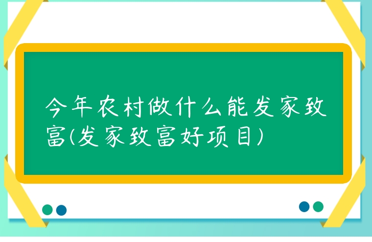 今年農村做什么能發家致富(發家致富好項目)