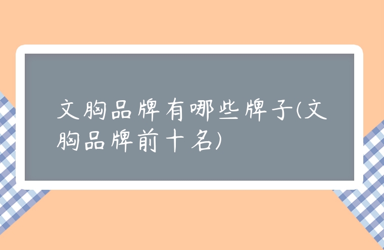 文胸品牌有哪些牌子(文胸品牌前十名)