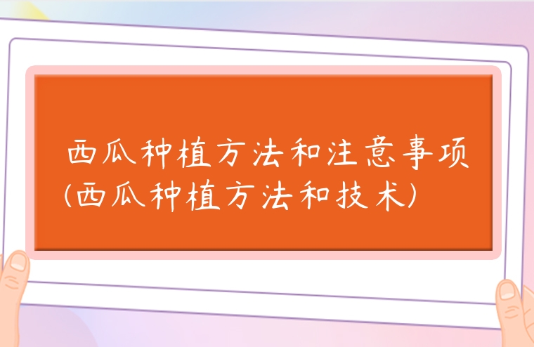 西瓜種植方法和注意事項(xiàng)(西瓜種植方法和技術(shù))