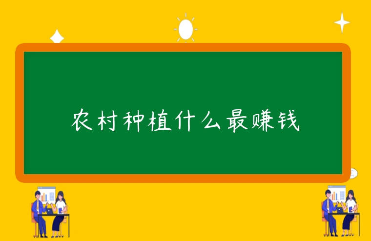農村種植什么最賺錢